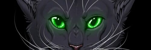 GrayFlight's profile banner image