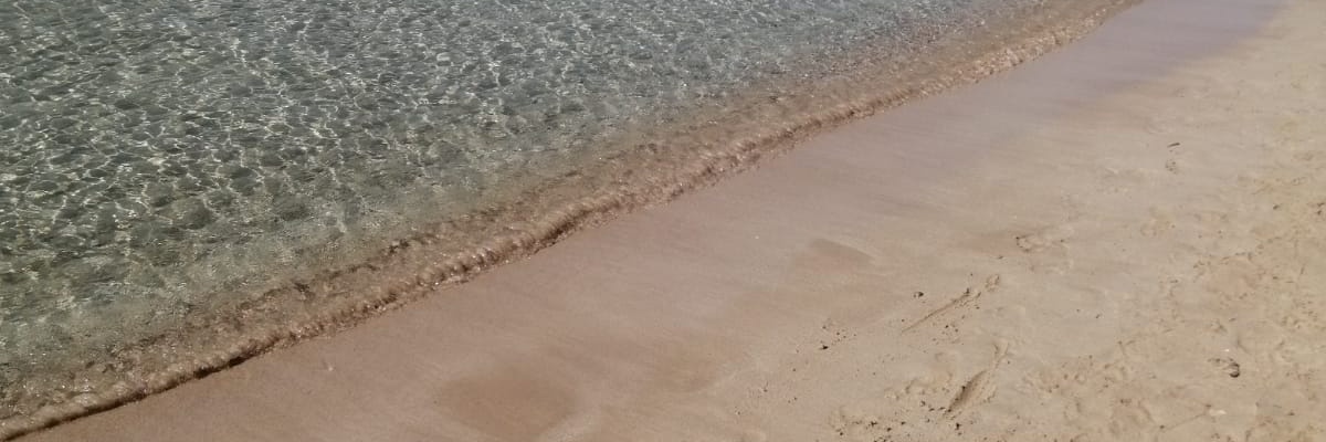 michelerizzi3's profile banner image