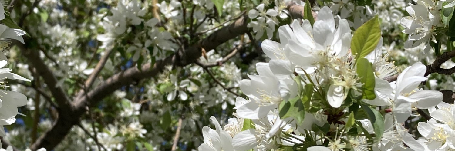 coletteauclair's profile banner image