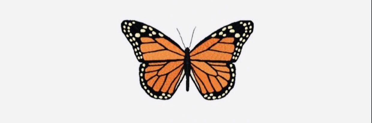 DianaEdithMedel's profile banner image