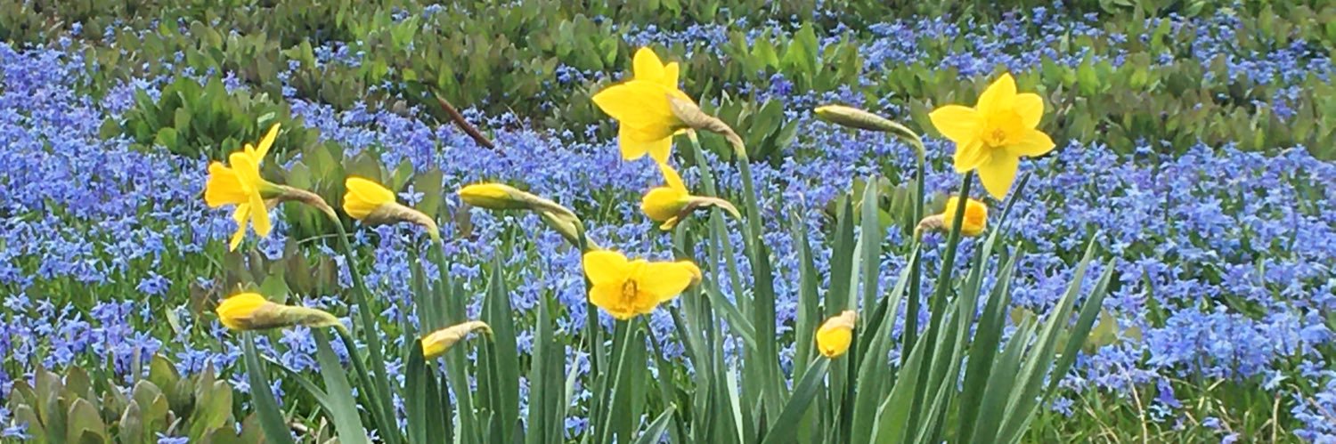 Cynthia__Duke's profile banner image