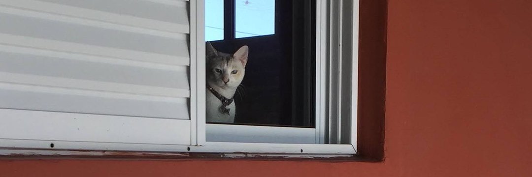_ThisIsFine__'s profile banner image