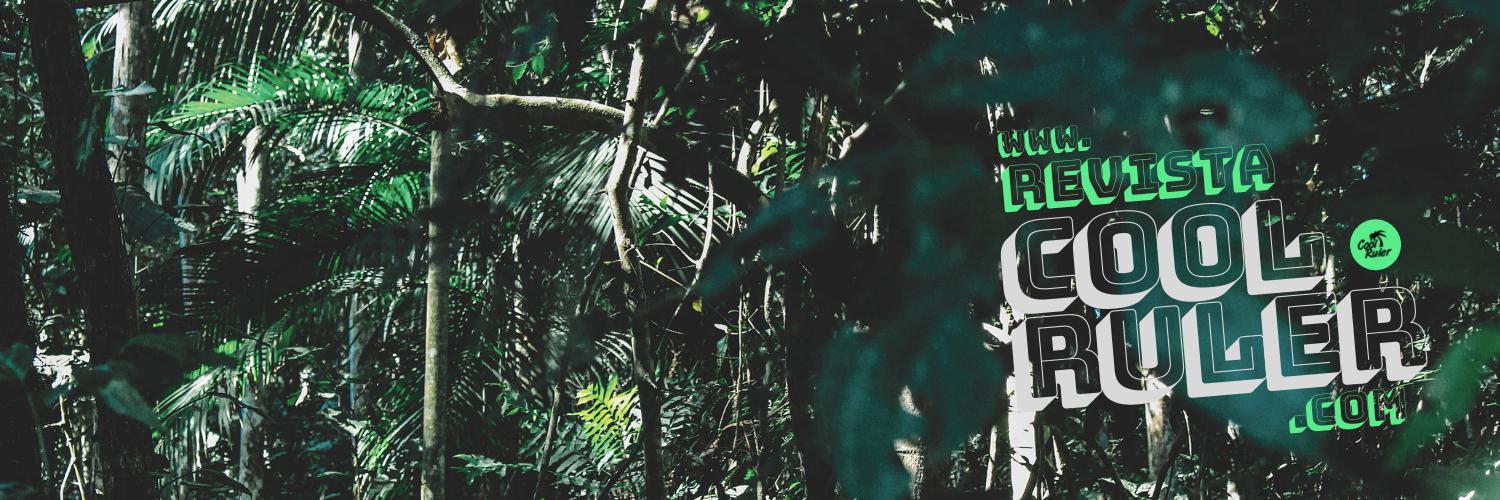 Revista Cool Ruler 🤲🏼🧼 banner