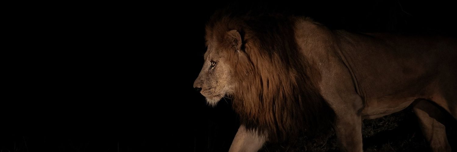 Zaidmalik90's profile banner image