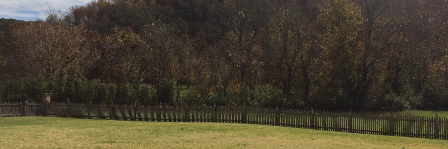 Gina Whitmore banner