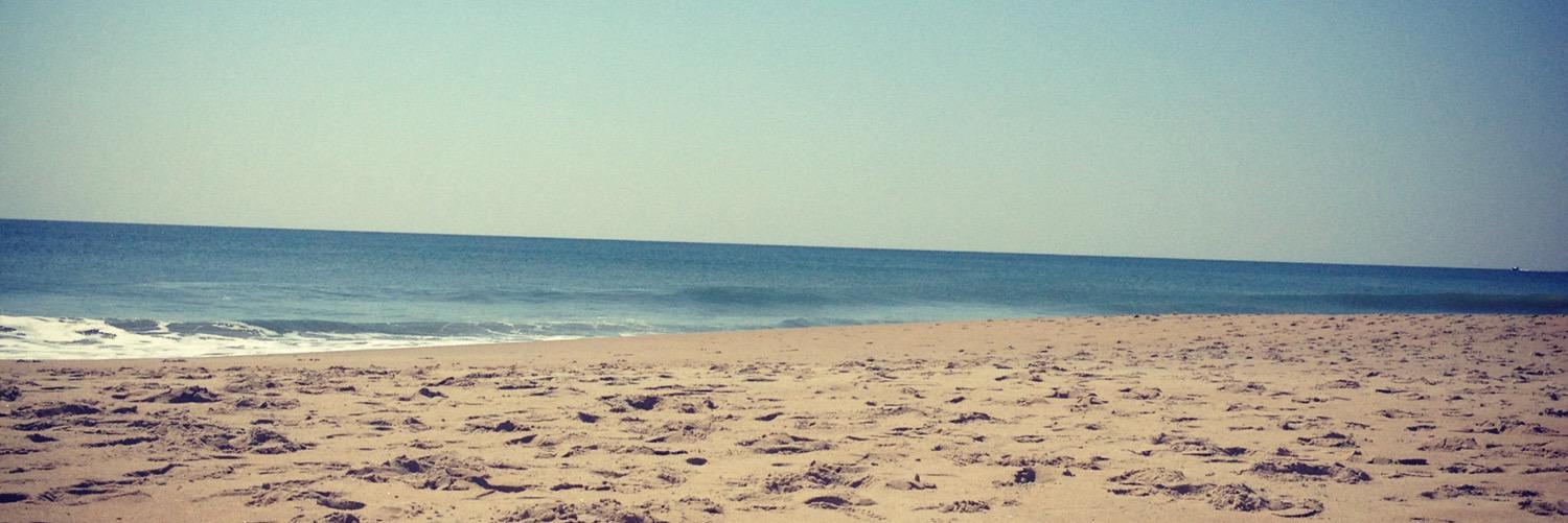 T3rrapin's profile banner image