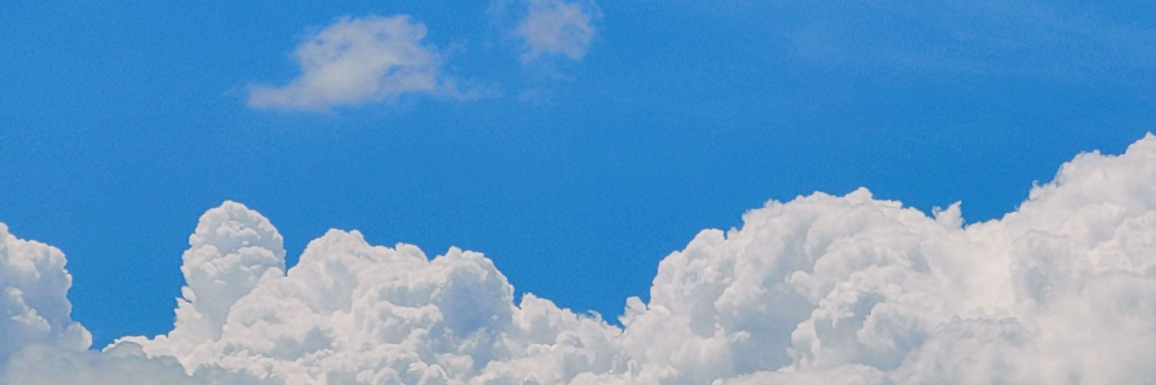 bioboiiy's profile banner image