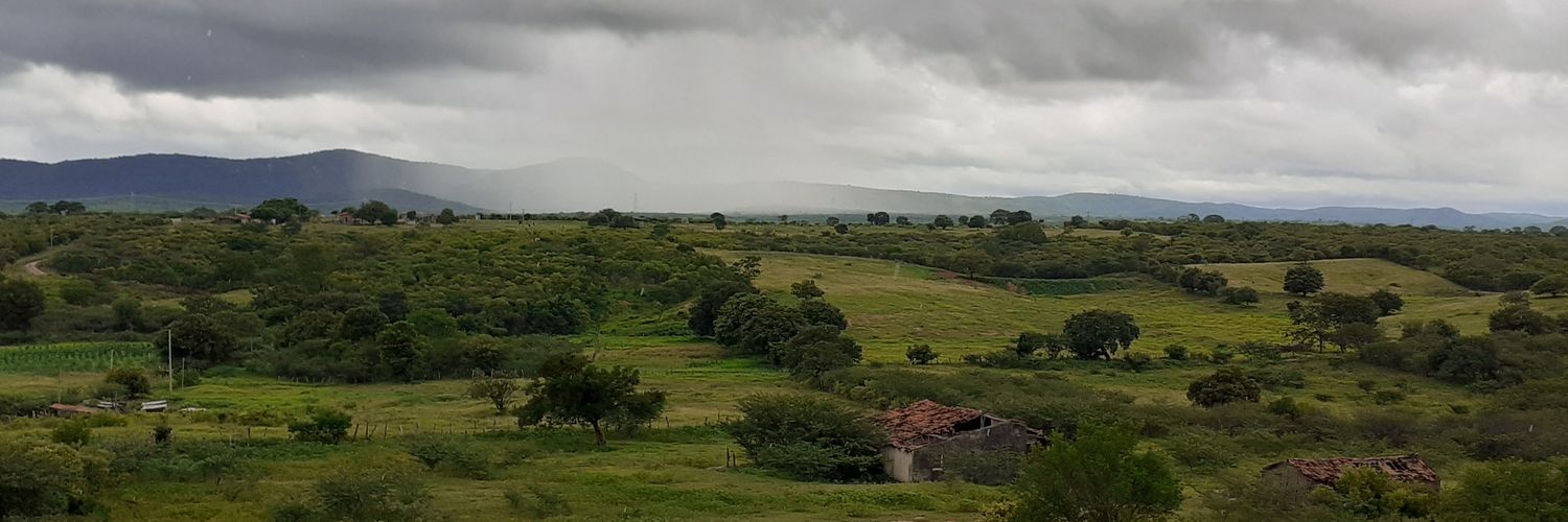 J.L. OLIVEIRA banner