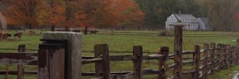 1998tw's profile banner image