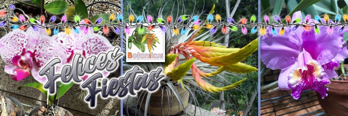 Botanikus Arquitectura Paisajista banner