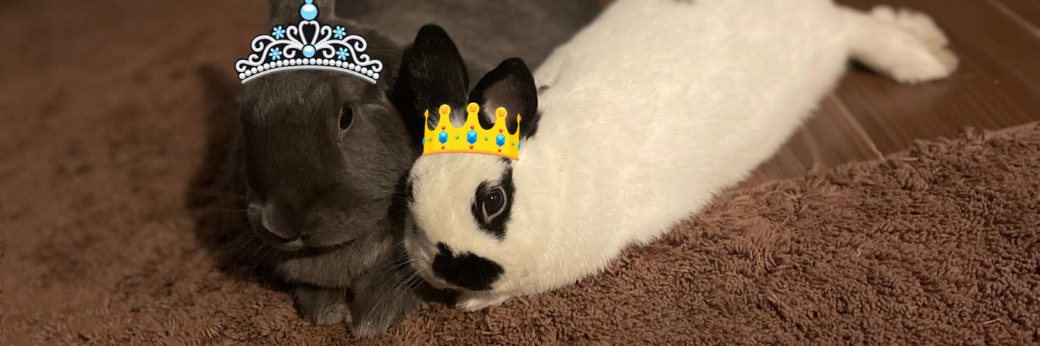 kaybeedubz's profile banner image