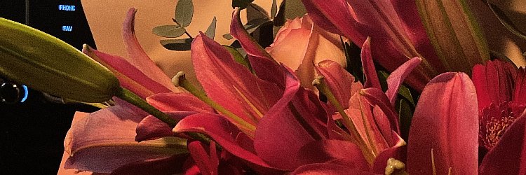 ؘ banner
