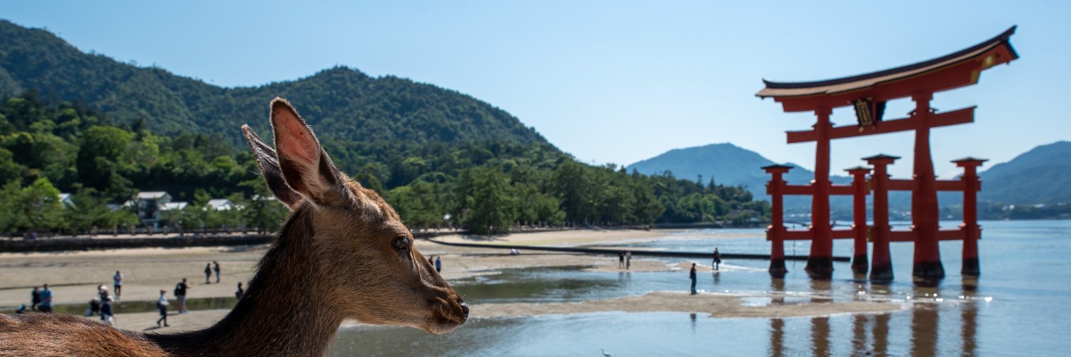 Marc A. Kastner (Mastodon: @mkasu@sigmoid.social) banner