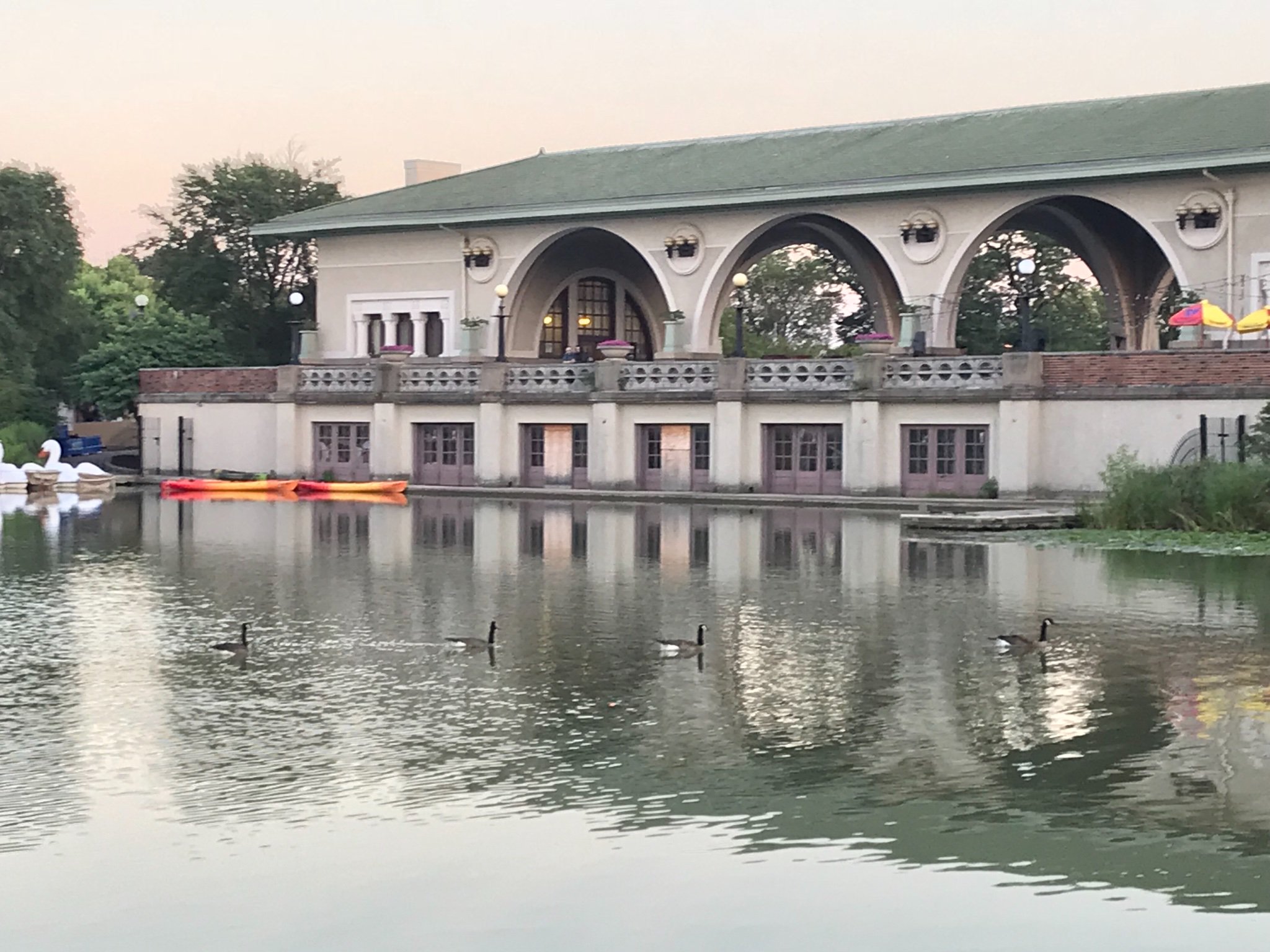 Chicagoland Frank banner