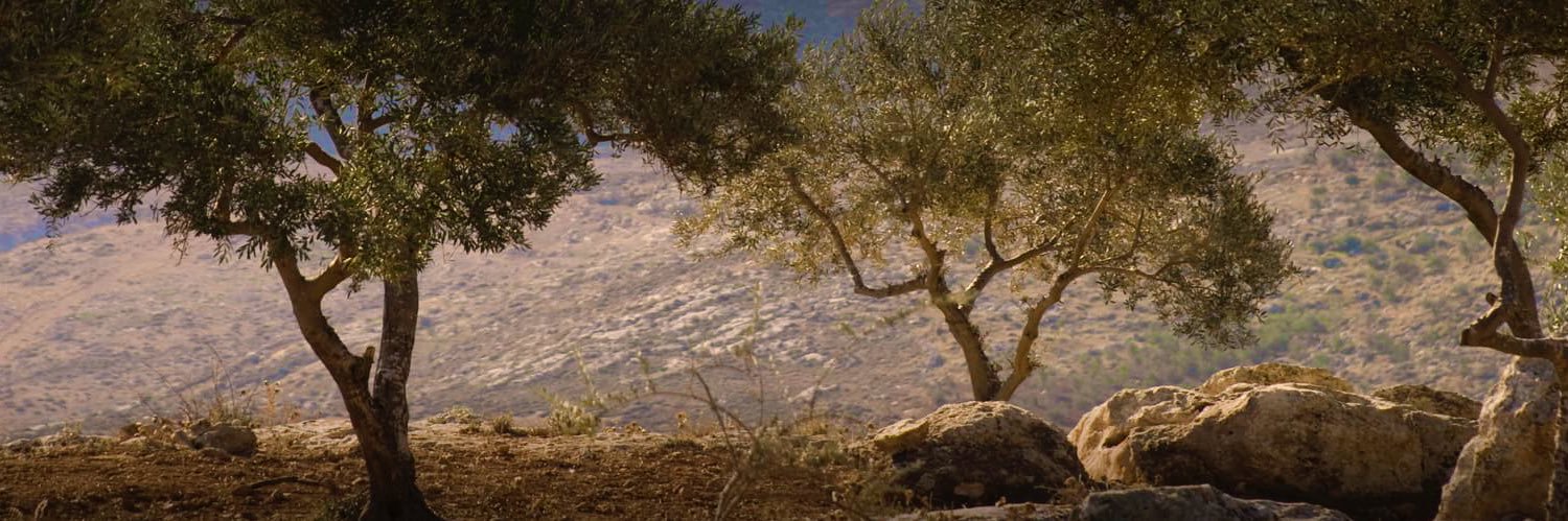AL_HAQ1111's profile banner image