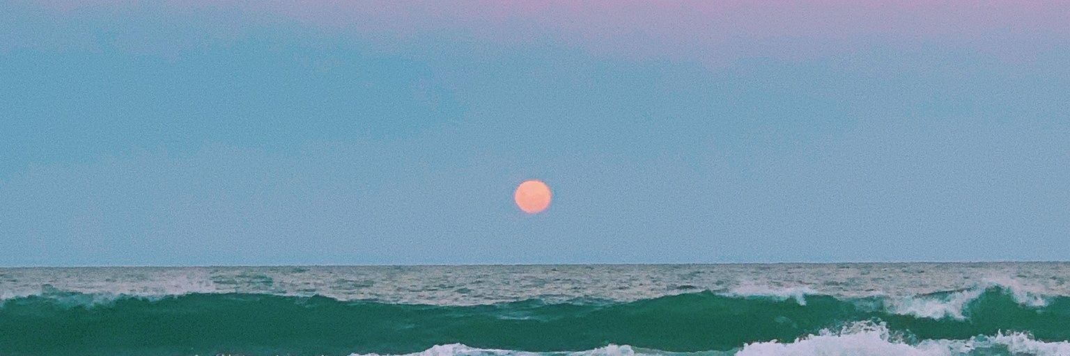 selenercb's profile banner image