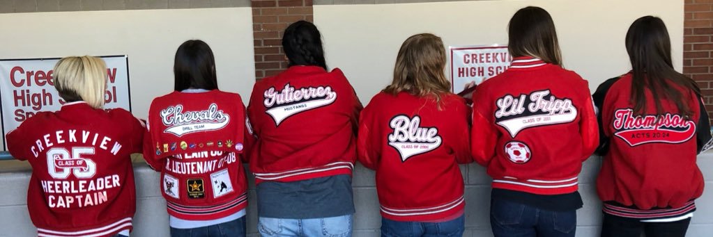 MsBlueCHS's profile banner image