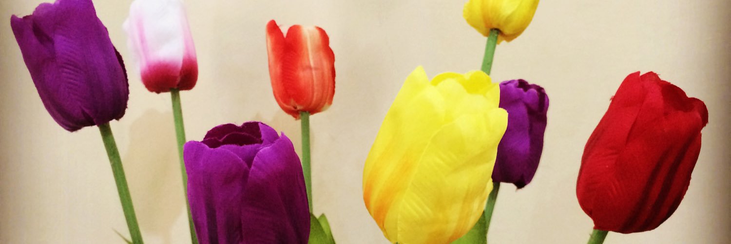 Athcun's profile banner image