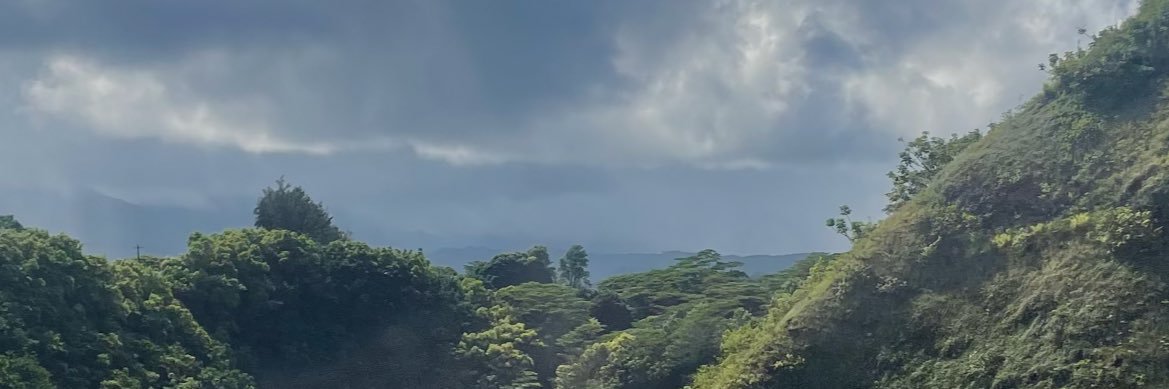 jackson_mann1's profile banner image