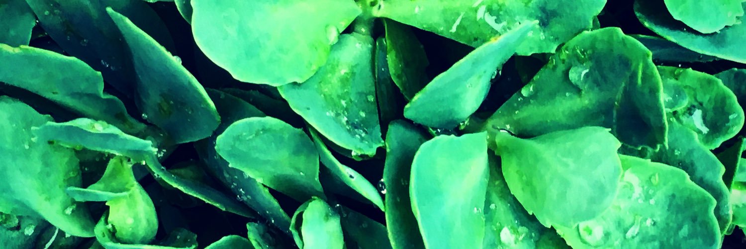 cmaymurphy's profile banner image