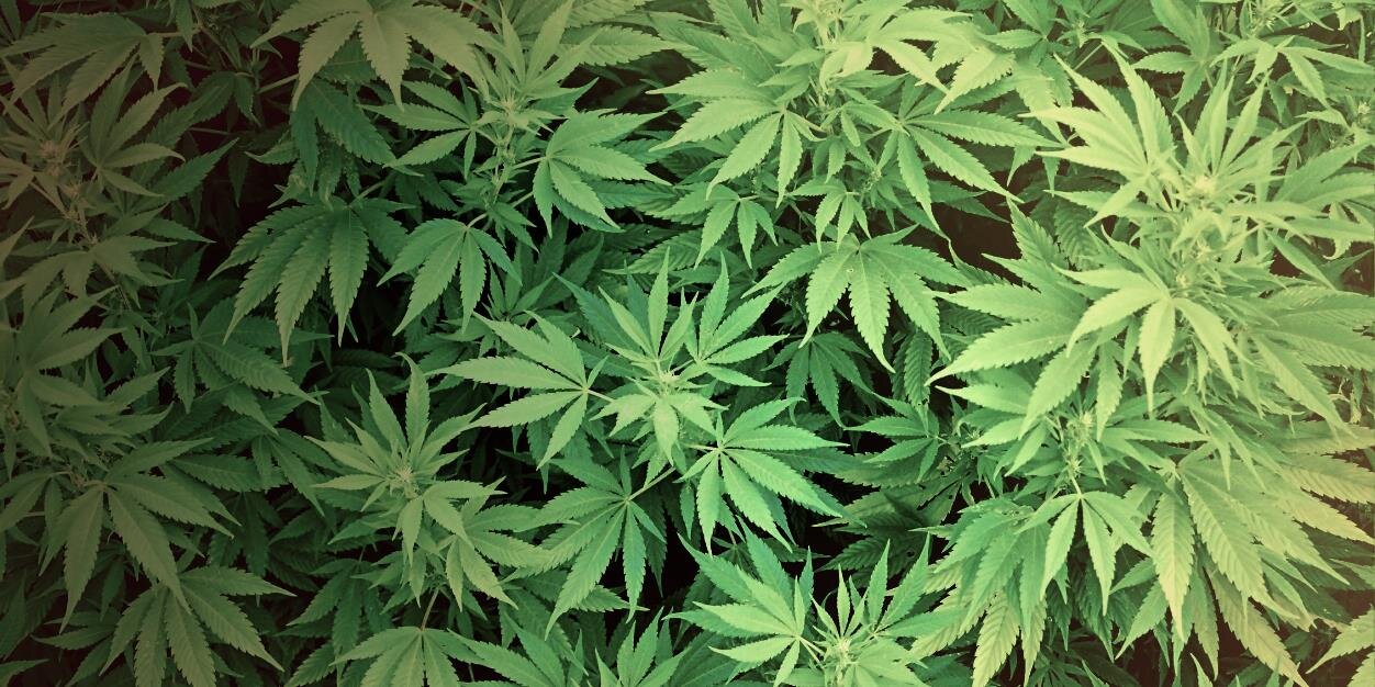 StonerBowl's profile banner image