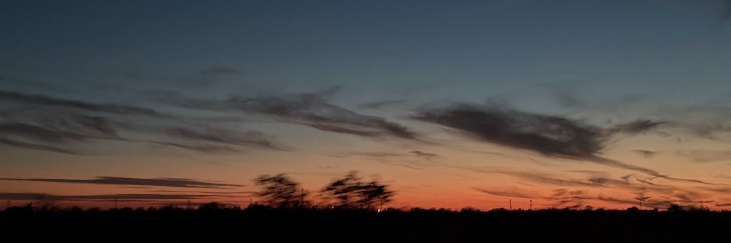laylashere's profile banner image