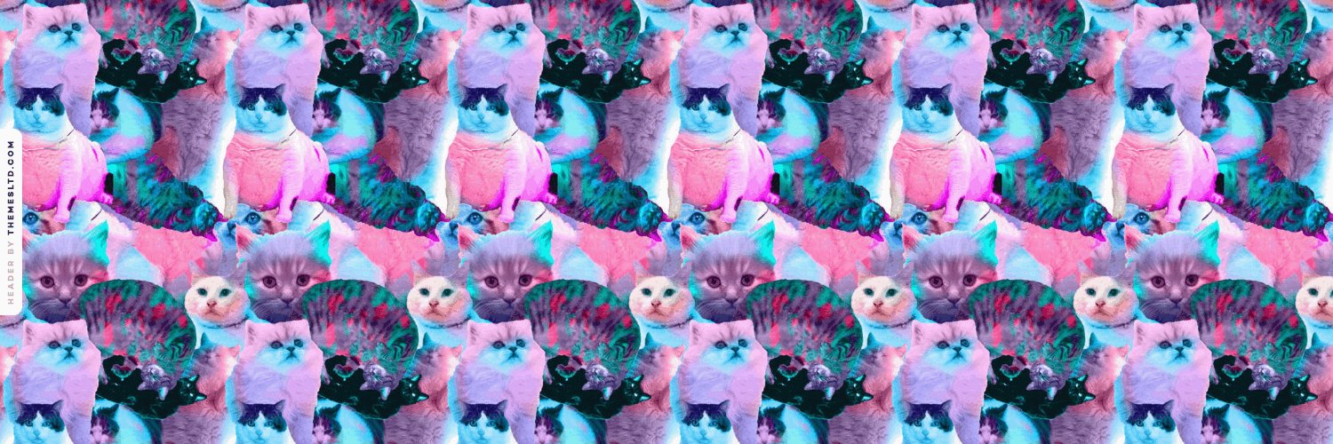 manda_zintel's profile banner image
