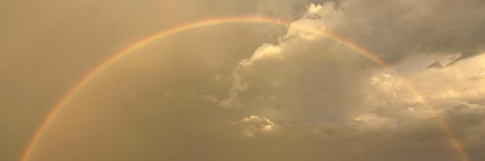 Fernanda Medina banner