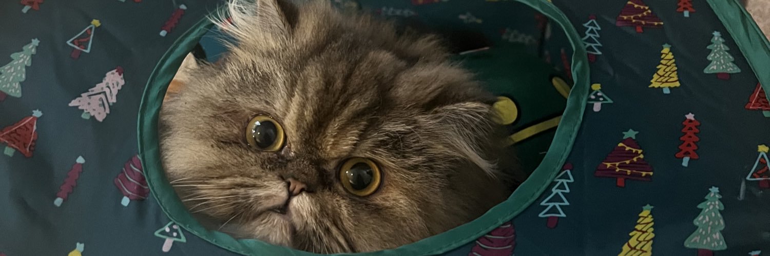 JenniferW33's profile banner image