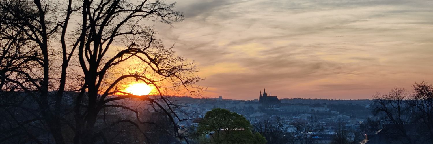 Princess_Zyna's profile banner image
