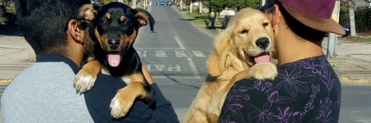 Jvil0's profile banner image