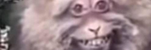 delusyko's profile banner image
