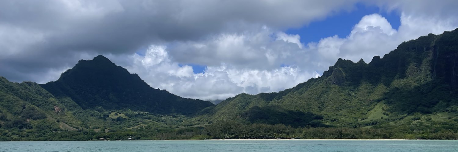 suscacique's profile banner image
