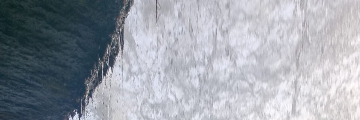 jade_small_1982's profile banner image
