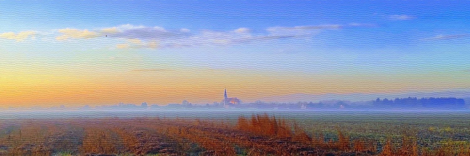 Bojan Šavrič banner