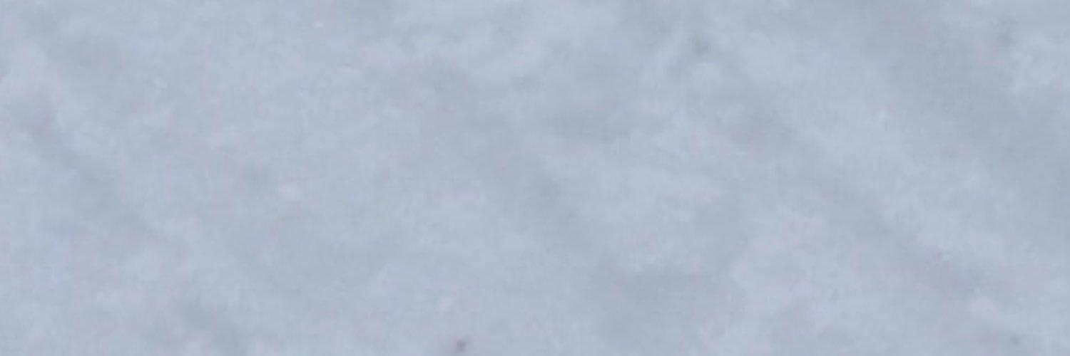 brandonomglol's profile banner image