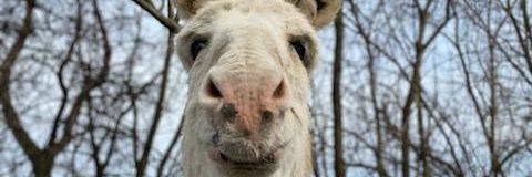kevhurst89's profile banner image