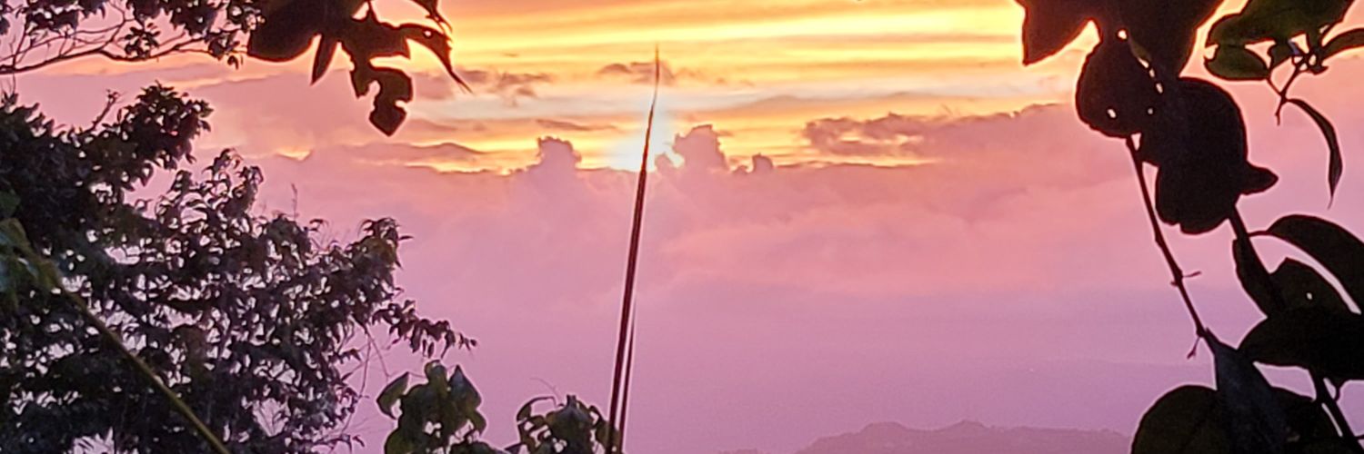 everest004's profile banner image