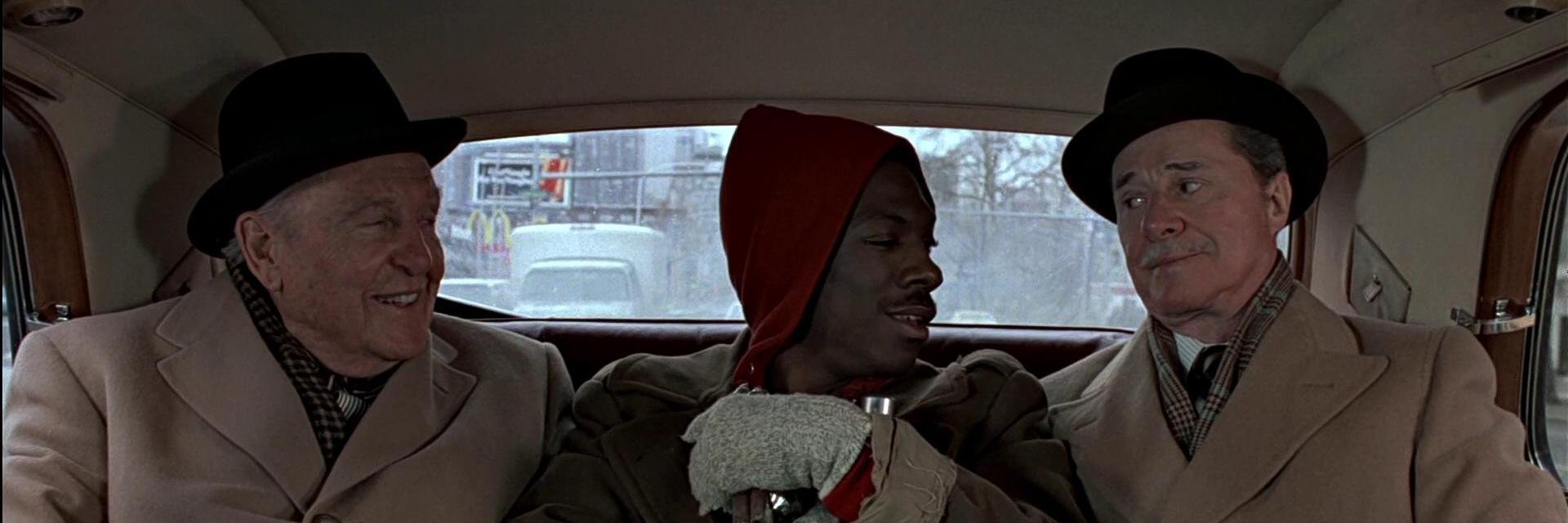 I Like Turtles banner