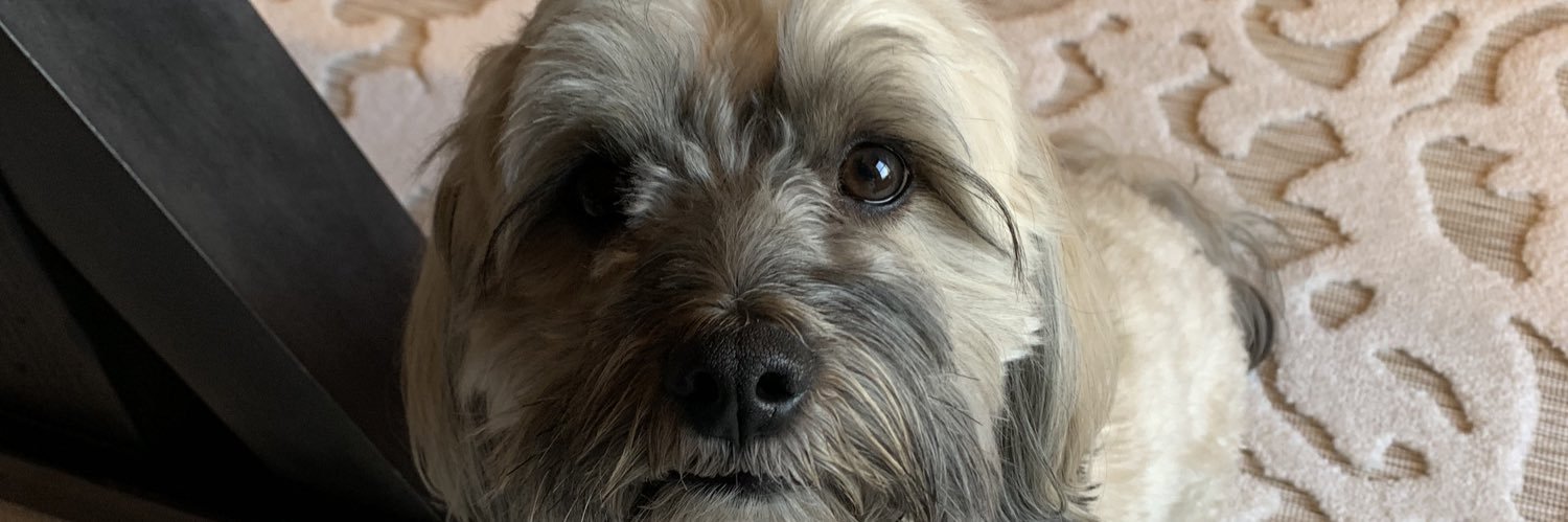 alittlebennett's profile banner image