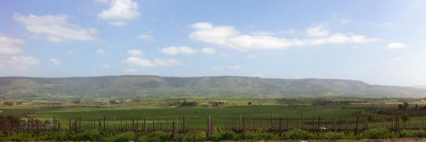 InfoPorceddu Profile Banner