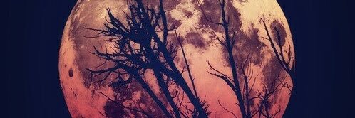 mia_prouty's profile banner image