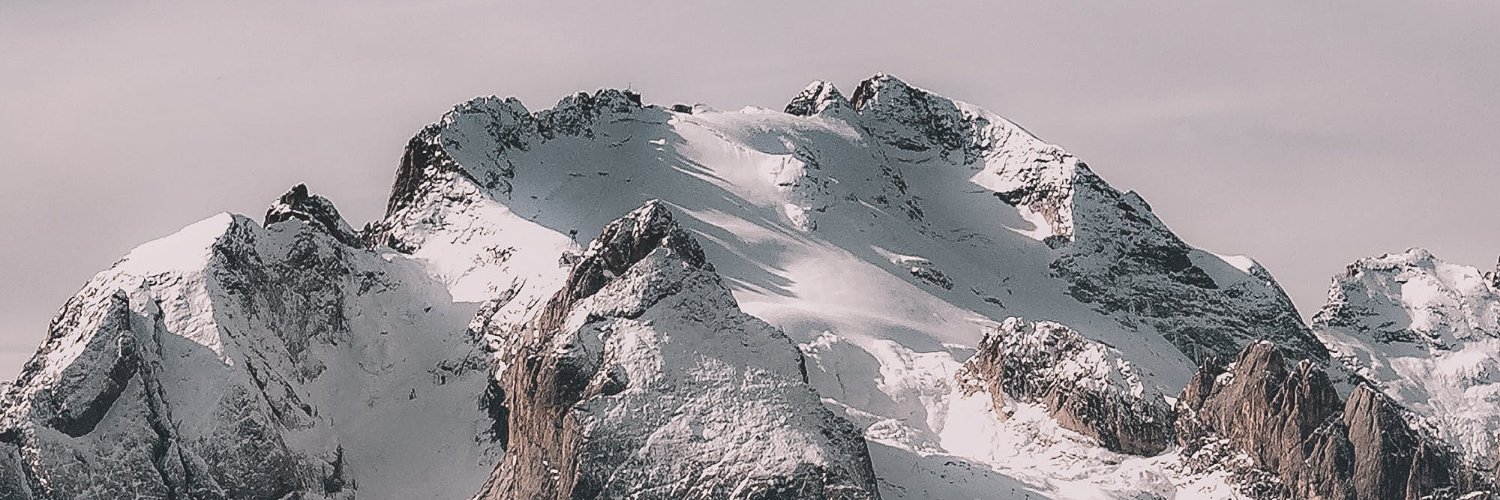 alexia stumpf banner
