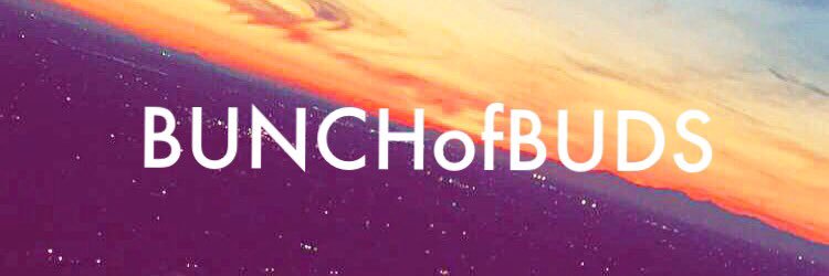 BUNCHofBUDS's profile banner image