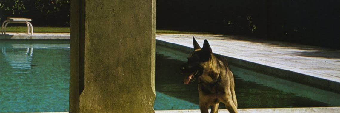 AkiTheBehemoth's profile banner image