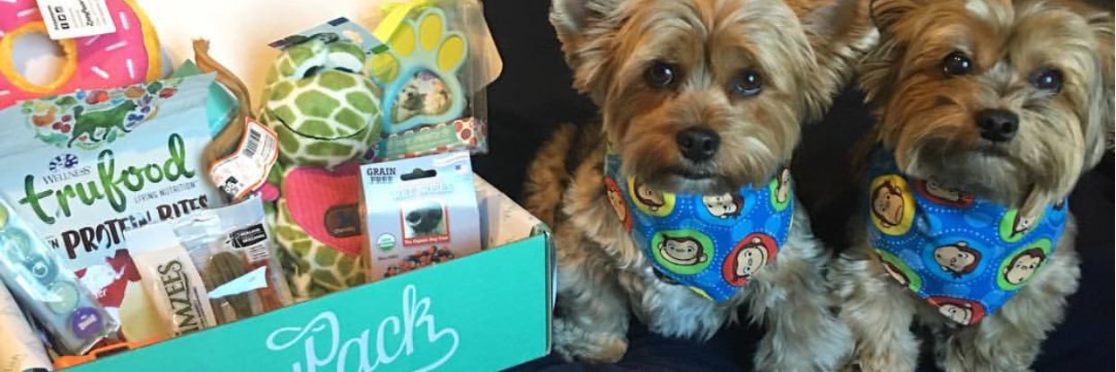 PawPack banner