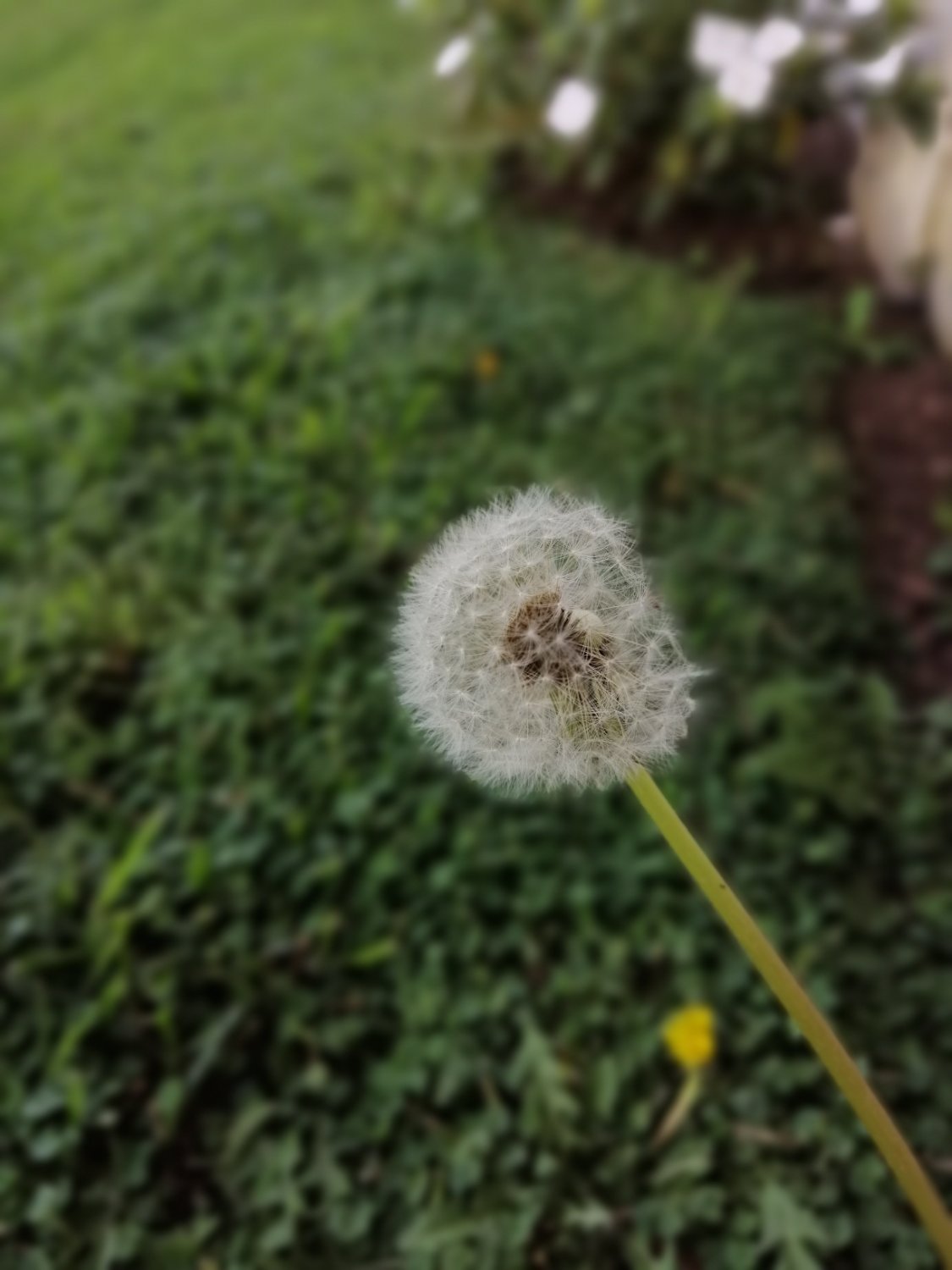 Gerbi banner
