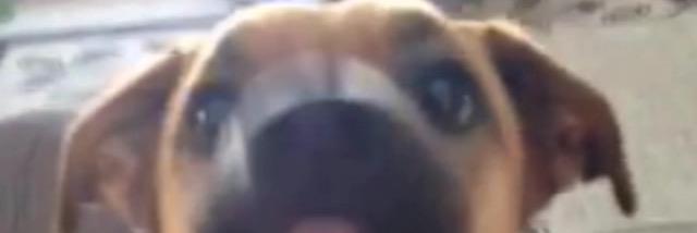 poer_sam's profile banner image