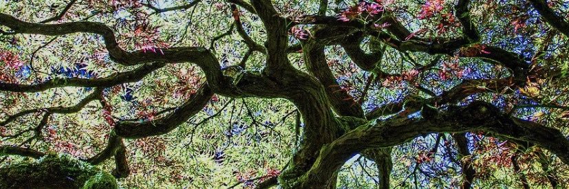 ERINFOX_ROCKS's profile banner image