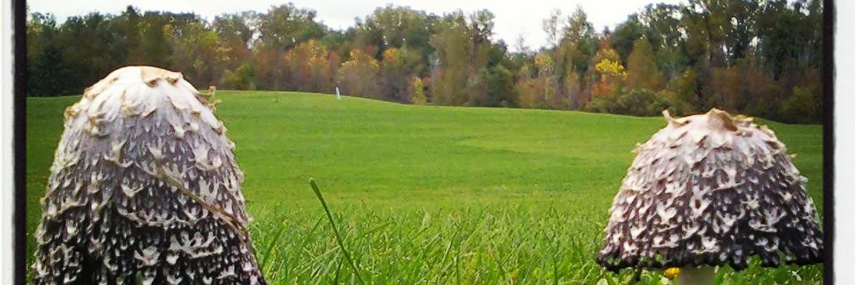 IXR119's profile banner image
